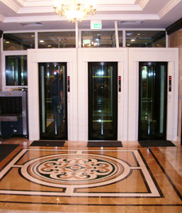 ClearLock 645 - Puerta de Seguridad